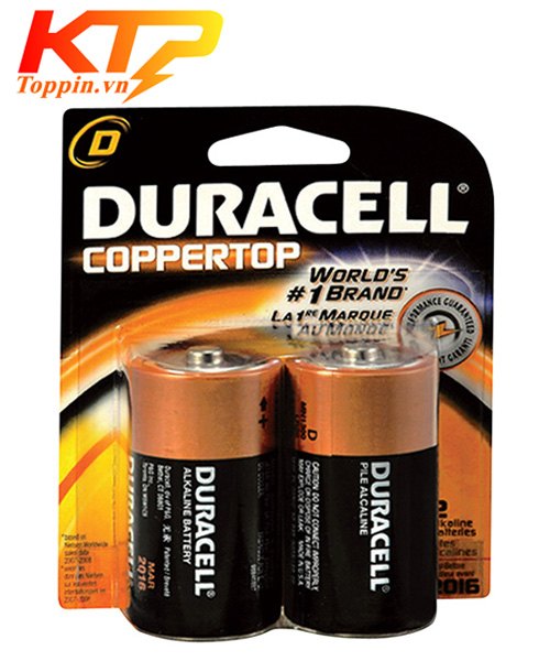 pin đại duracell LR20